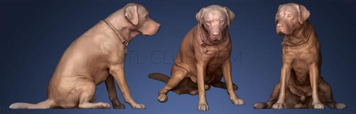 3D model DOG A53 (STL)